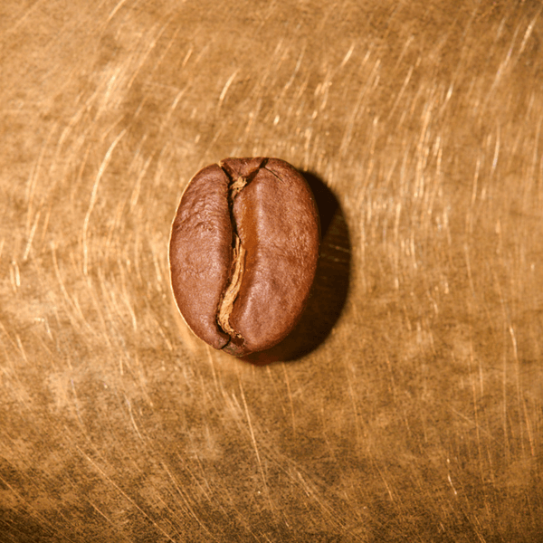 Photo of Sumatra Gayo Espresso
